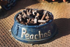 Photo Recycled sculpture