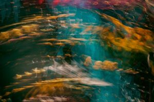 Photo Artistic Workshop