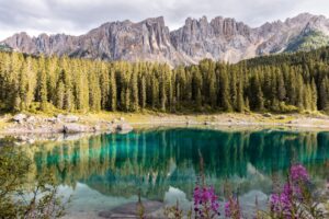 Photo Nature-inspired art