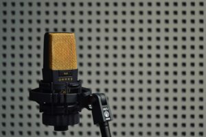 Photo Field recording microphone