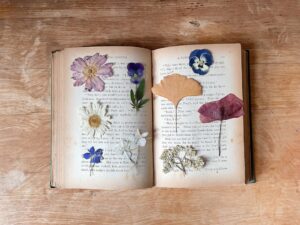 Photo Seasonal coloring books