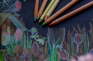 Photo Coloring book cover