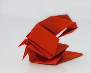 Photo Origami swan