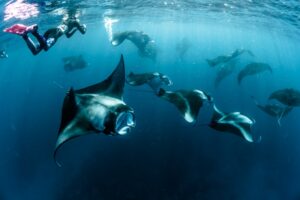 Photo Underwater Adventure
