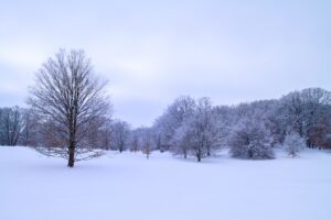Photo Color Theory