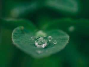 Photo Mindfulness