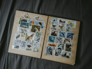 Photo Draw Zoo Animals