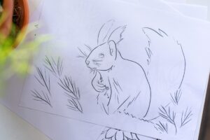 Photo Draw Your Favorite Animals