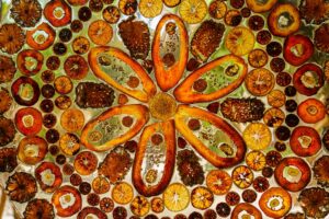 Photo Mandalas