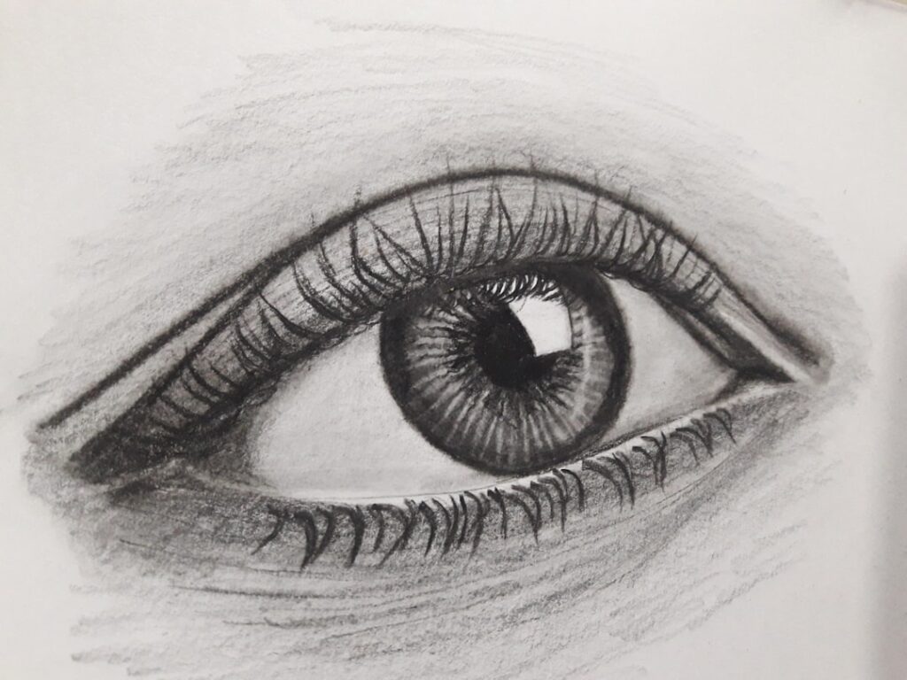 Adult Explorers: Mastering Advanced Shading Techniques in Colored Pencils