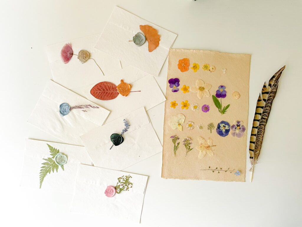 Adult Explorers: Transforming Your Space with DIY Botanical Art