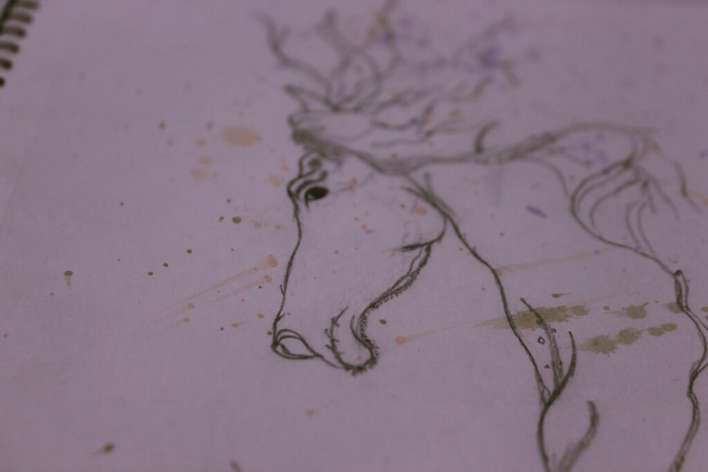 Elementary Explorers: How to Draw Your Favorite Animal Step by Step