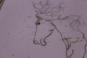 Photo Draw Your Favorite Animal