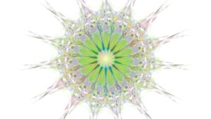 Photo Mandala Designs